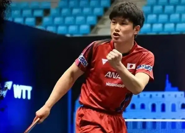 爱游戏-德国乒乓球队绝杀法国乒乓球队，张本智和爆发神勇的简单介绍