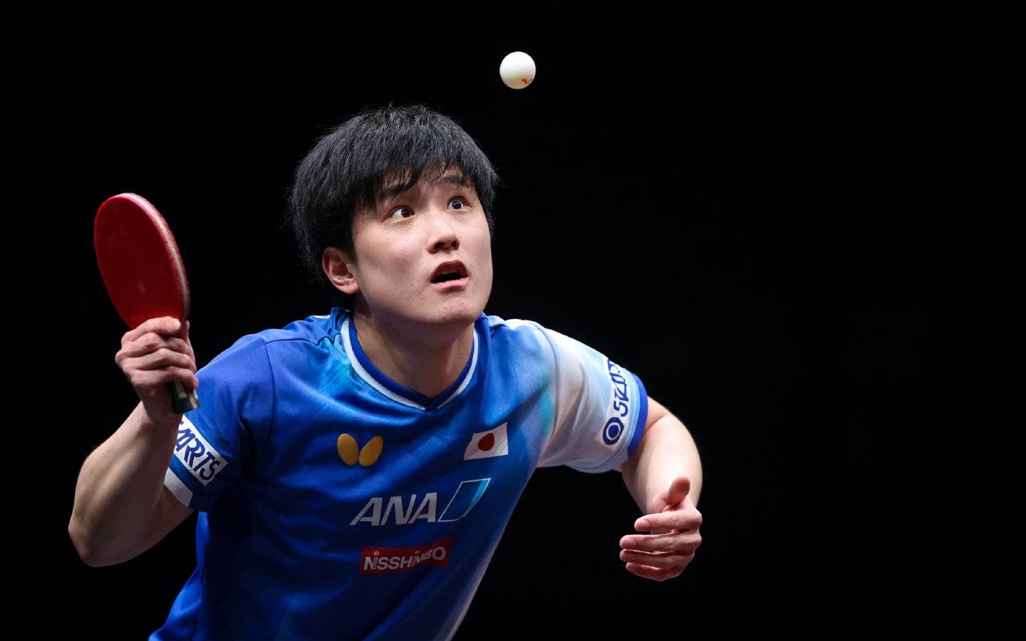 关于德国乒乓球队鏖战法国乒乓球队，张本智和统治全场的信息